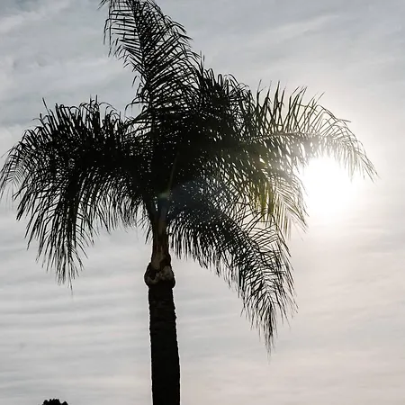 El Dorado Nueva Andalucia Pool Terrace * Marbella