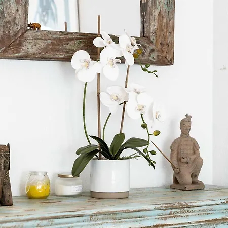 El Dorado Nueva Andalucia Pool Terrace Apartment