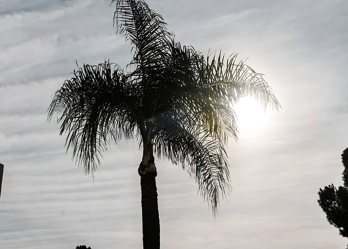 El Dorado Nueva Andalucia Pool Terrace * 马尔韦利亚